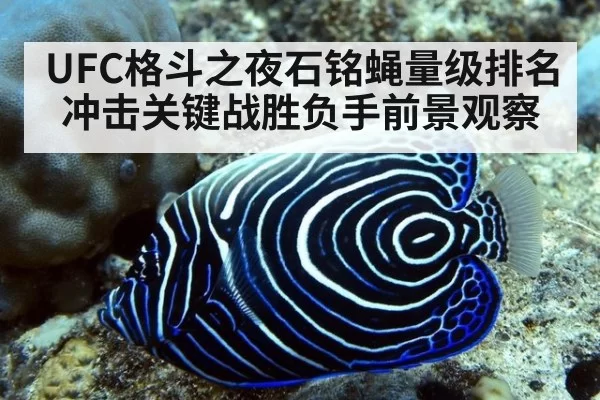 UFC格斗之夜石铭蝇量级排名冲击关键战胜负手前景观察